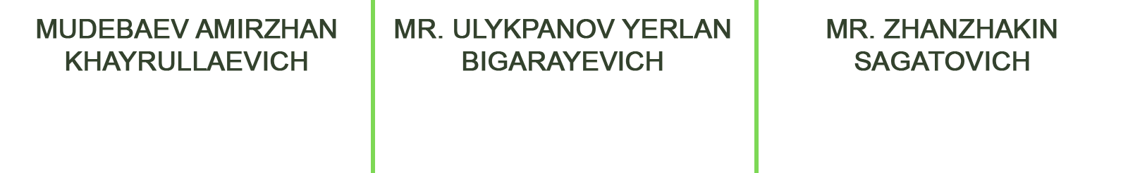 directors